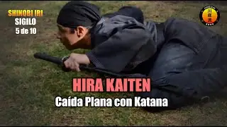 HIRA con Katana. SHINOBI IRI Sigilo. 6/10