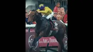 The Arc 🏆 Где рождаются герои и живут легенды! #скачки #arcdetriomphe