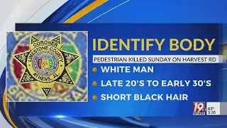 Identify Body in Limestone County | July 20, 2025 | WHNT News 19 Sunday Evening