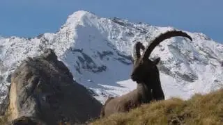 Alpini della Susa-