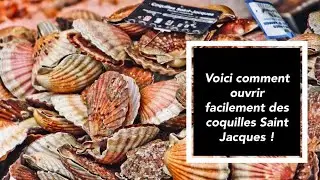 Comment ouvrir facilement des Coquilles Saint-Jacques.