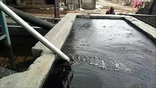 Infinite Rice Husk Gasifier  for Dal Mill