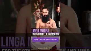 Linga Mudra for the Stability of Body & Mind || By Himalayan Siddhaa Akshar #shorts