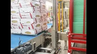 TERRAWOOL Stonewool Palletless Packaging Line 2019