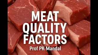 Meat Quality Factors (PG): Prof PK Mandal
