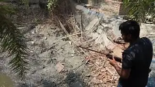 Fish hunting by Chinese Air Rifle in Village Pond