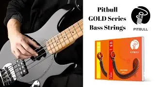 Pitbull Gold Series Electric Bass Strings