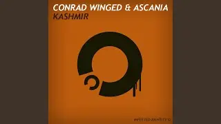 Kashmir (Reiklavik Remix)