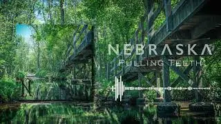 Nebraska - Pulling Teeth (OFFICIAL SINGLE STREAM)