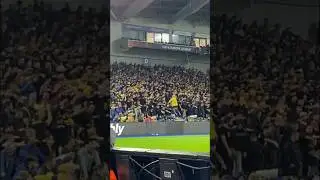 AEK ATHENS FANS AT THE AMEX STADIUM - Brighton v AEK Athens Europa League Highlights #aekathens #aek