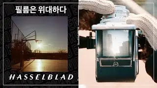 디지털이 필름을 영원히  넘어설 수 없는 이유 - 핫셀블라드 500C/M