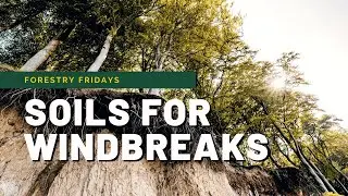 Soils for Windbreaks