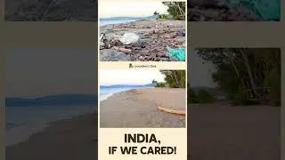 Goa&rsquo;s Polluted Shoreline &mdash; And The Beach We Deserve | India, If We Cared 🇮🇳