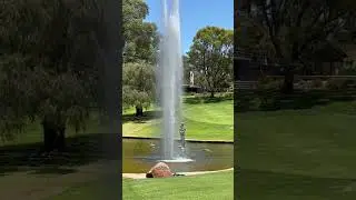 Botanic Gardens Perth #happyholidays #metime