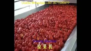 tomato processing machine tomato paste production line tomato processing