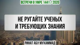 2. Не ругайте ученых и требующих знания || Ринат Абу Мухаммад