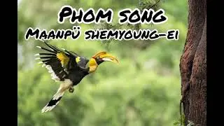 Phom song:- Maanpü Shemyoung-ei