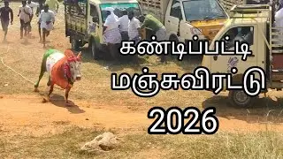 2026 சிறப்பாக நடைபெற்ற கண்டிப்பட்டி மஞ்சுவிரட்டு 