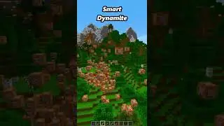 Quale preferisci?  #minecraft #memes #gaming #games #minecraftmemes