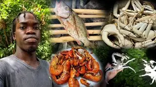 Roast Snapper On DIY Grill | Night River Hunting | Land Crab &ntilde; Crayfish Catch Clean &ntilde; Cook