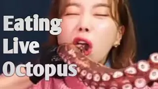 ASMR Eating live Octopus  Mukbang.                             #asmr #octopuseating #liveoctopus