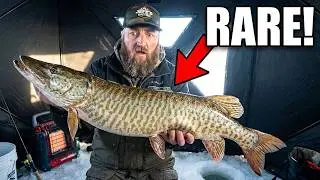 Catching the Fish of 10,000 Casts!