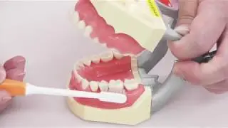 進路研究動画　歯科衛生士コース　スクラビング法