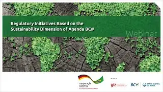 Regulatory Initiatives Based on the Sustainability Dimension of AgendaBC# (25/11)