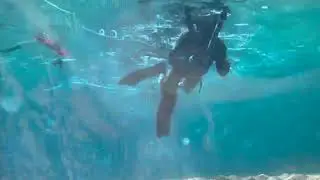 March 25 Подвох+рыбный ужин!Underwater tourist in the sea + fish dinner!Delle prelibatezze marinare