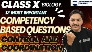Control and coordination (Competency based questions) class X (Biology)