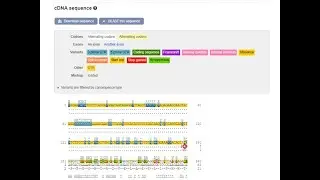 C Ensembl Genome Browser, Part 3