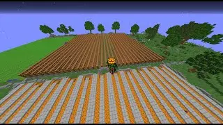 Minecraft Hypixel Skyblock! Squash Obtained! Now comes the grind for fermento!