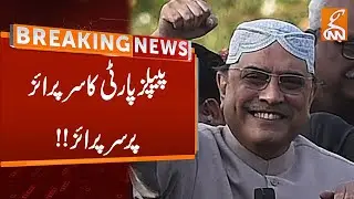 Another Big Victory Of PPP | Breaking News | GNN