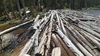 Crossing the log jam bridge at rainbow lakes