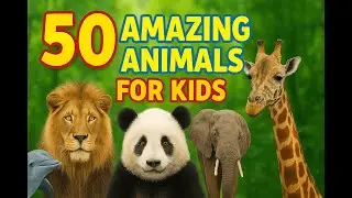 50 Amazing Animals for Kids! Learn Cool Animal Facts