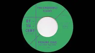 The Emergency Stairs - Feeling High (GARAGE PSYCH REVIVAL)