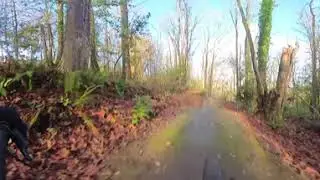 MTB beacon hill