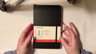 Moleskine 2020 Daily Planner/Diary Flip Through and Review