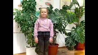 Котяш Вероніка «Мріяла мала».