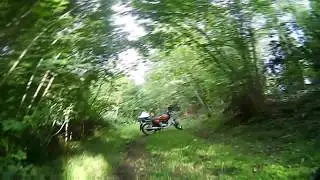 maisonnette abandonn&eacute;e dans le bois Bflight 210
