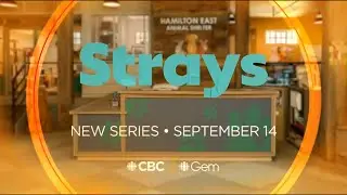 Strays CBC GEM | New Series