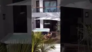 Summer vibes - Hotel Fariones