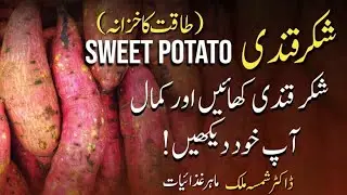 Sweet Potato Benefits | Shakarkandi ke fayde | Dietitian Shamsa Malik 