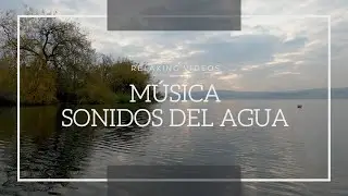 💤🎧🏝🌊SONIDOS DE AGUA y PAJAROS, ESTUDIAR, MEDIATAR, MENTE en BLANCO, PENSAR, SONIDOS RELAJANTES💤🎧🏝🌊