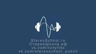 Tony Flex. Reveal Sound Spire - Deep and Tech House Presets