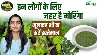 Moringa (Drumstick) Benefits & Side Effects: इन लोगों के लिए खतरनाक है मोरिंग, भूलकर भी करें सेवन