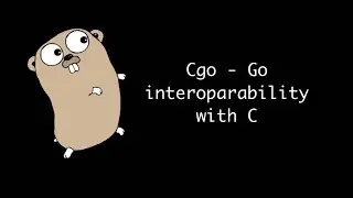 Cgo - Go interoparability with C