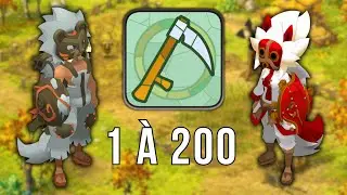[DOFUS 3] Monter son m&eacute;tier paysan du lvl 1 &agrave; 200 &agrave; partir de z&eacute;ro