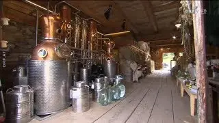 Gesunde Kr&auml;uter:  Heuschnaps