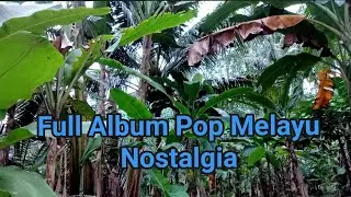 full album pop melayu nostalgia vol 240 cover darlin batu bara II